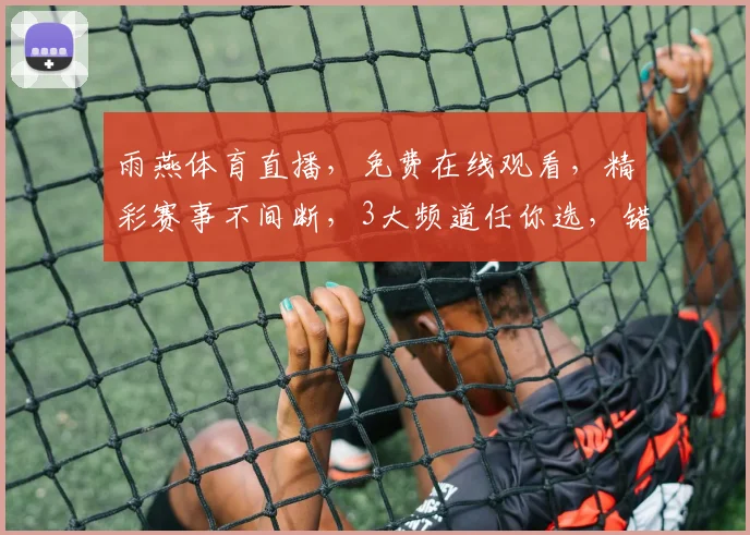 雨燕体育直播，免费在线观看，精彩赛事不间断，3大频道任你选，错过等一年