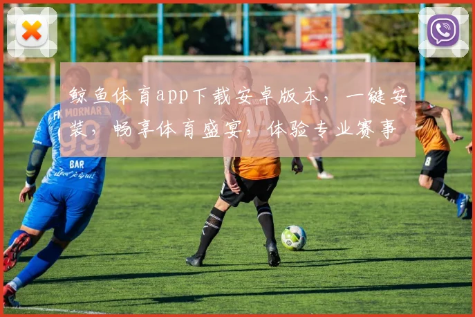 鲸鱼体育app下载安卓版本，一键安装，畅享体育盛宴，体验专业赛事，尽在指尖