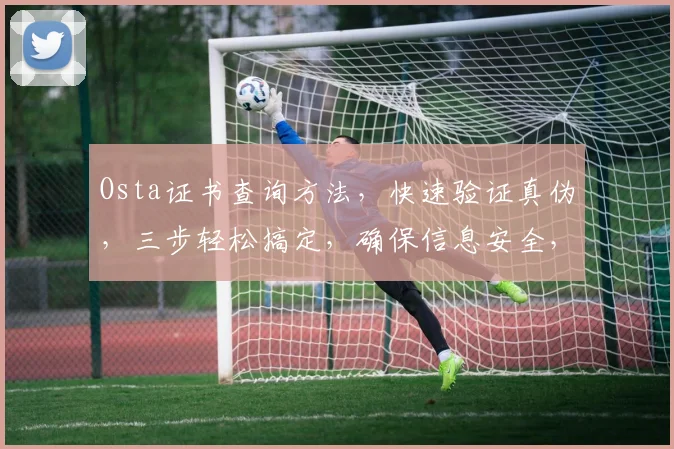Osta证书查询方法，快速验证真伪，三步轻松搞定，确保信息安全，